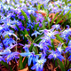 Image for article titled Shooting Challenge: Spring